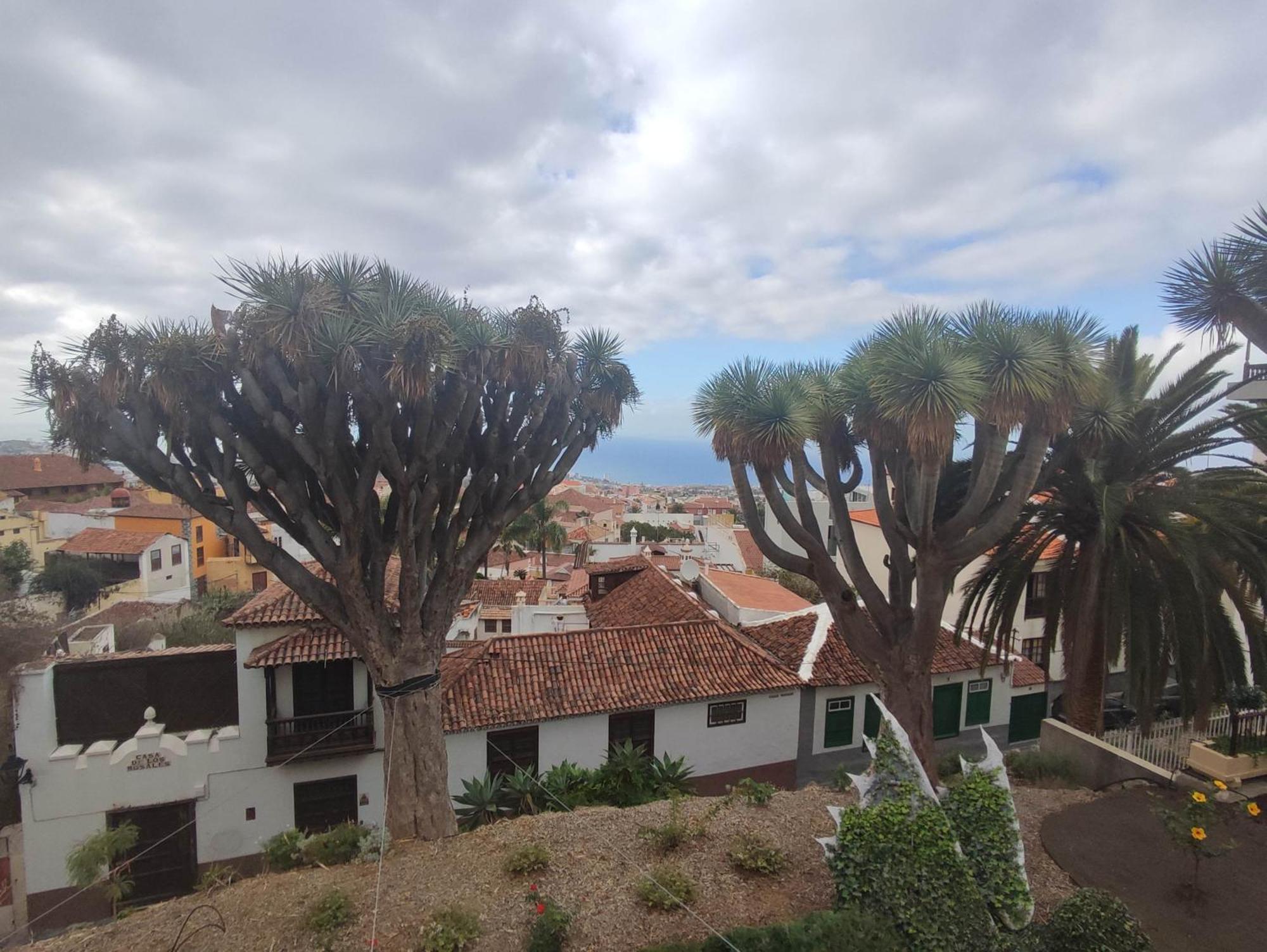 Casa Ruth Centro Orotava Apartment
